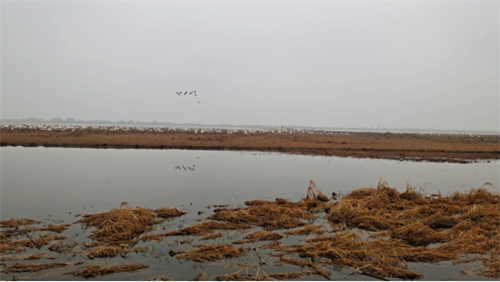 1704849747255376.png 图片12.png