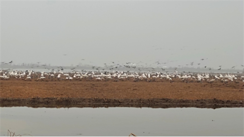 1704849734617999.png 图片11.png