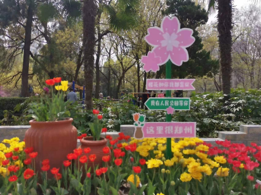1711524662467971.png 图片 3.png
