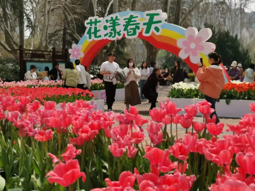 1711524657752491.png 图片 2.png