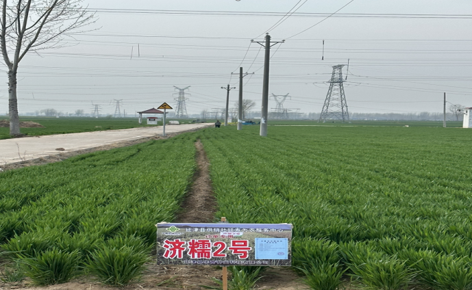 1712022246898603.png 图片 1.png