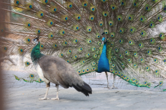 1714113761967894.png 图片 2.png