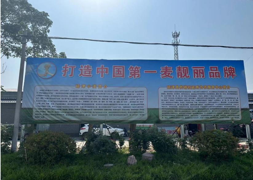 图片 1.png