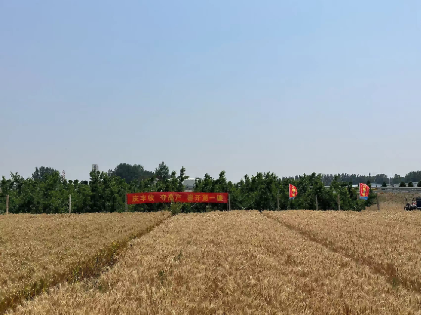 1716535275818520.png 图片 1.png