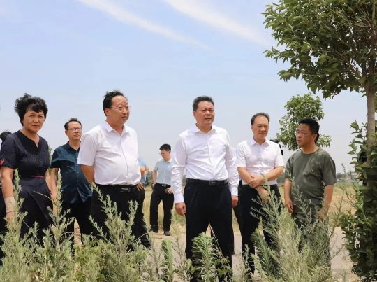 1718677069333495.png 图片 2.png