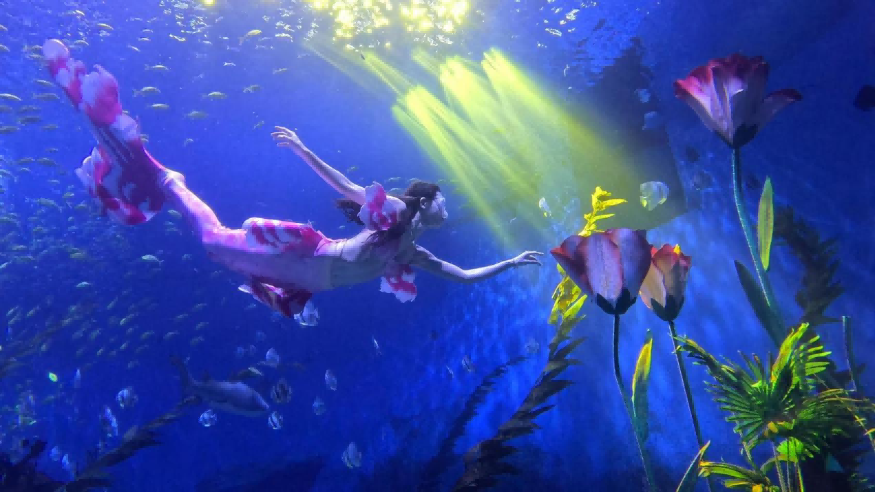 1718849760912073.png 图片 3.png