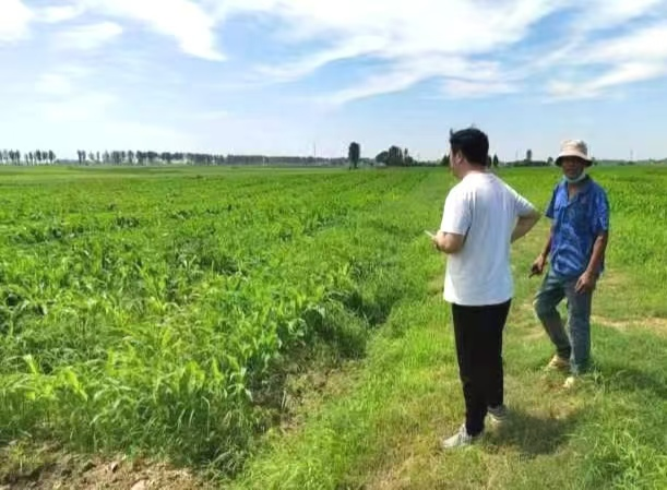 1723089116149883.png 图片 1.png