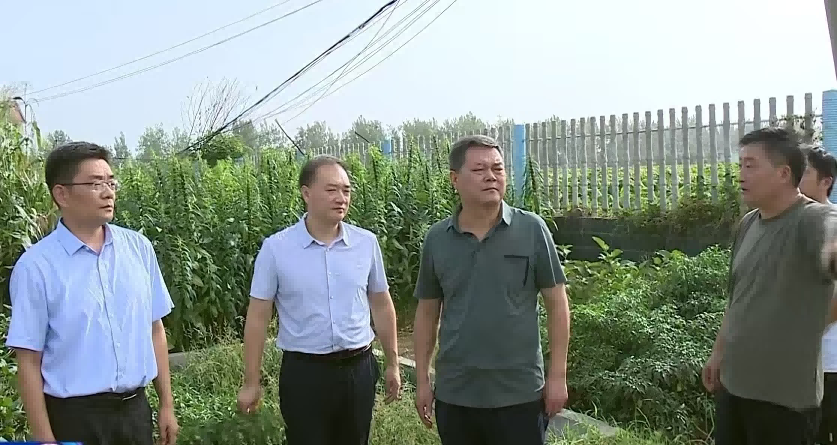 1723445653347832.png 图片 1.png