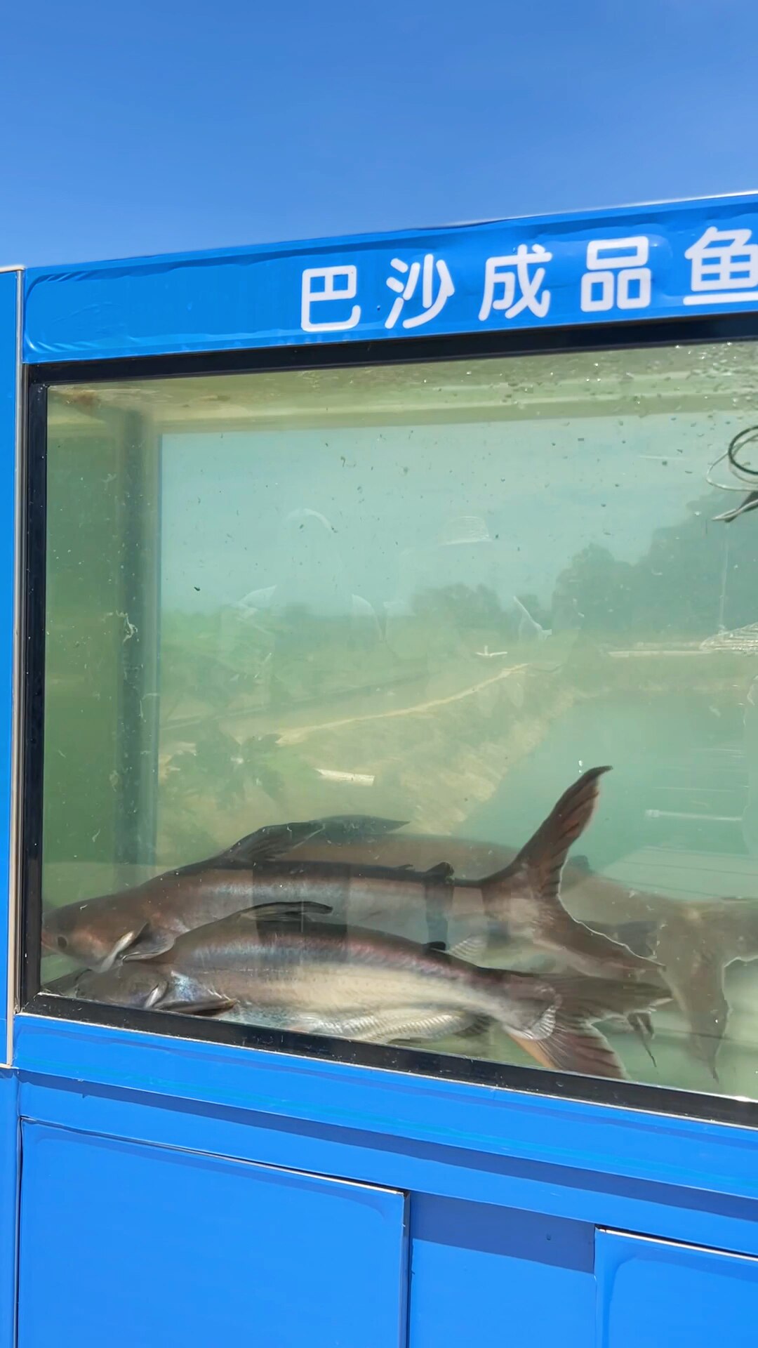1724036198772858.jpg 2.jpg