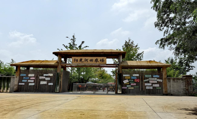 图片 2.png