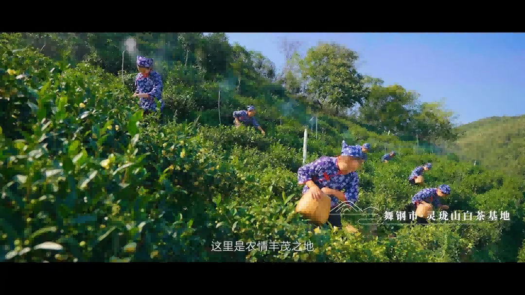 1724638048339848.png 图片 7.png