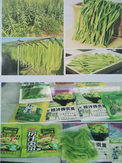 1724915992315380.png 图片 6.png