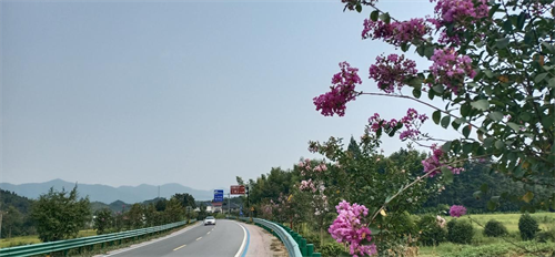 1725348929839689.png 图片10.png