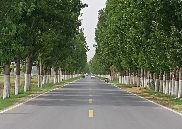 1725587802844172.png 图片 2.png
