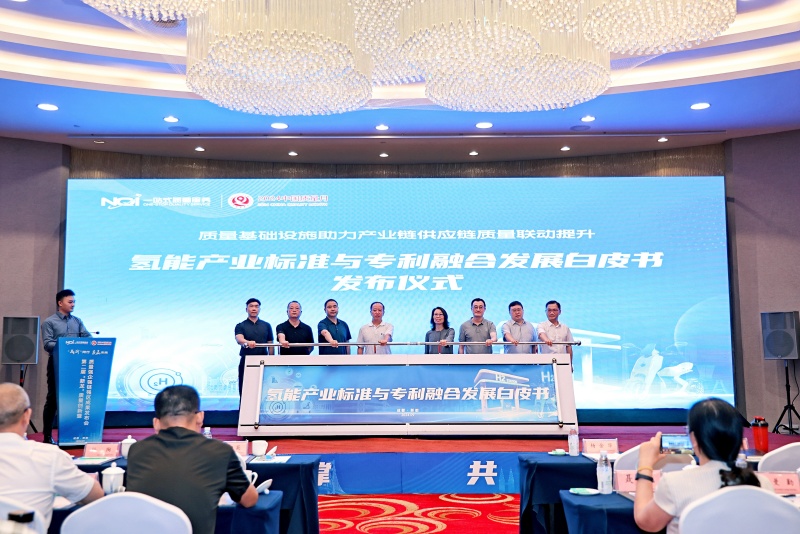 1725955245620479.jpg 3新龙_副本.jpg