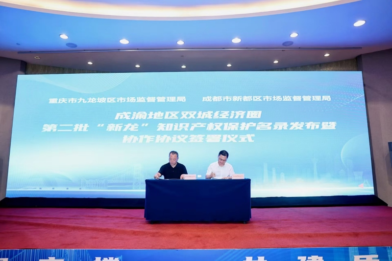 1725955232711523.jpg 新龙1_副本.jpg
