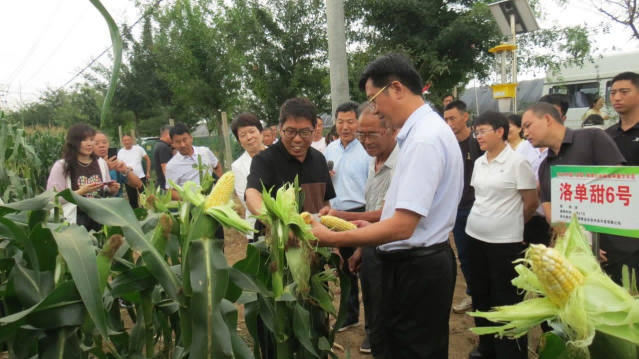 1726020746910840.png 图片 2.png