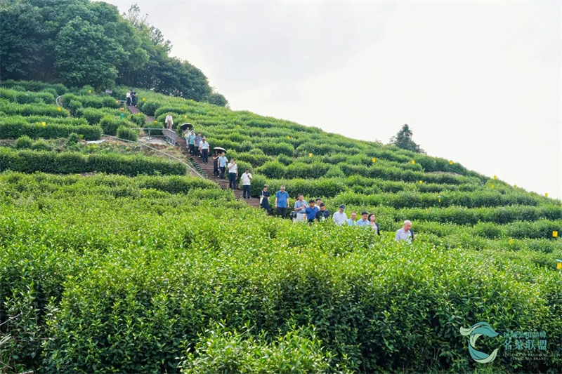 1726293794561157.jpg 图片3.jpg