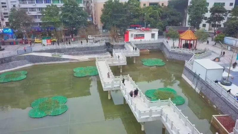 1726641298130982.jpg 3.jpg
