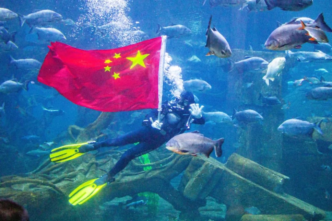 1728458456500763.png 图片 6.png