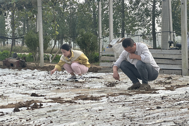 1729070903285667.jpg 图片2.jpg