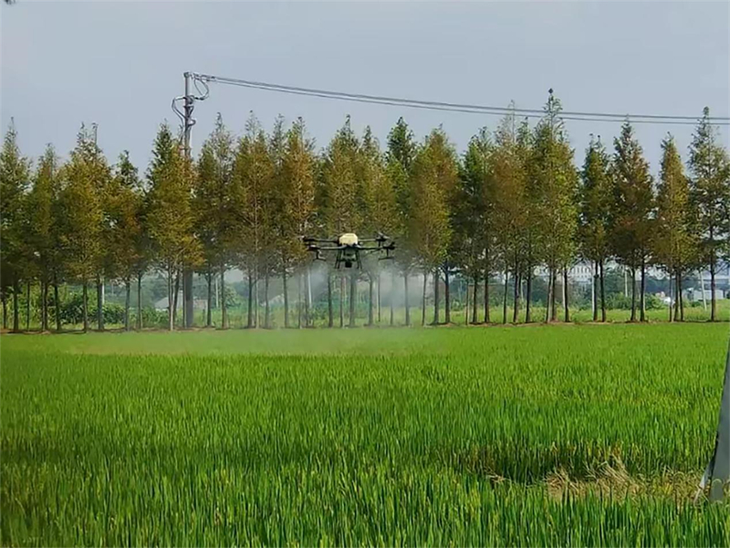 1729560834992899.jpg 图片2.jpg