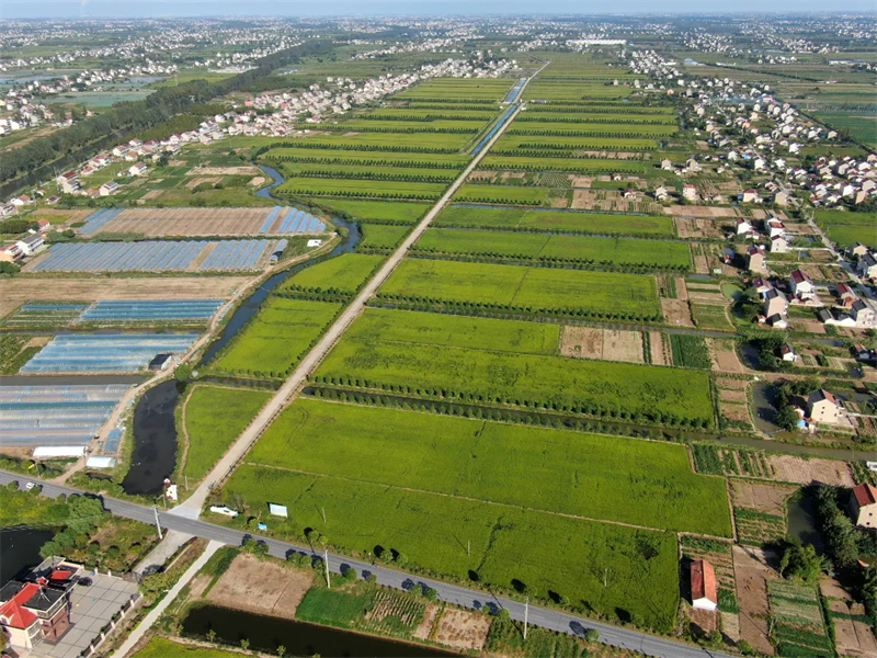 1729651401943130.jpg 南通市海门区高标准农田建设助推“小田并大田”183.jpg