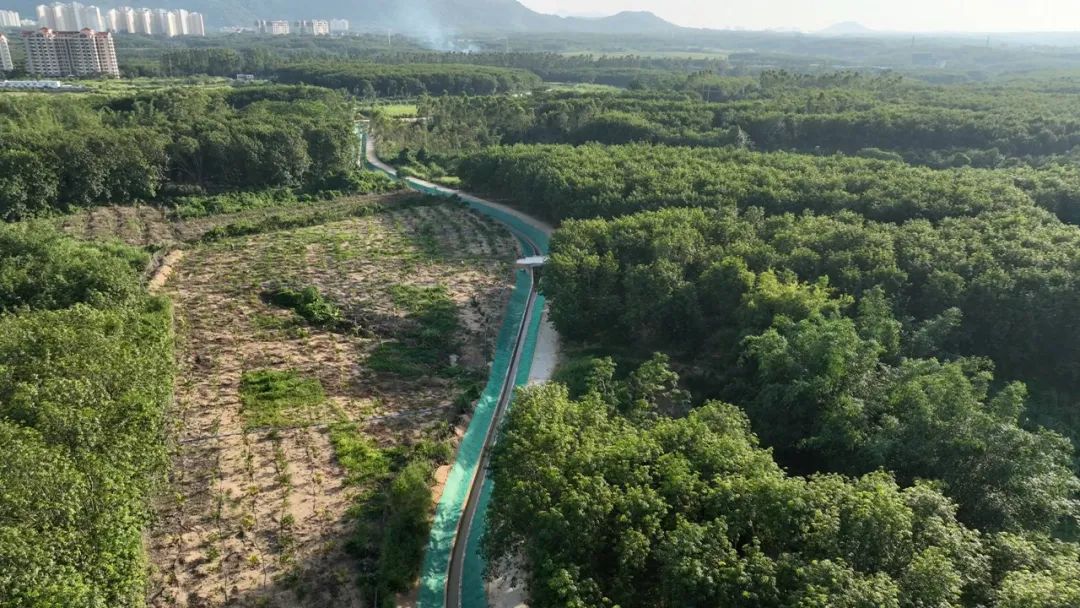 1730170313818663.jpg 5.jpg