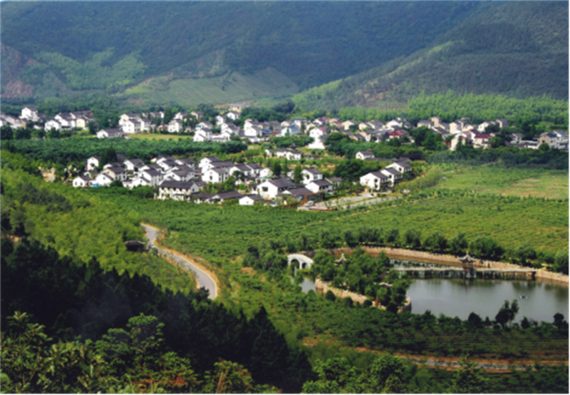 1730963335206688.jpg 苏州吴中区:推动农文旅深度融合 助力乡村振兴大放异彩146.jpg