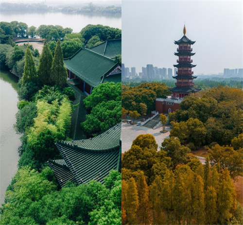 1731485914660742.jpg 未命名.jpg