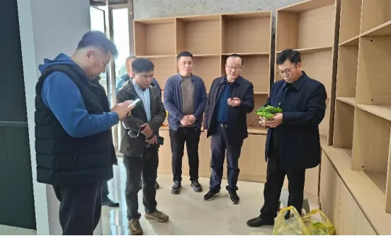 1732501653255494.png 图片 4.png