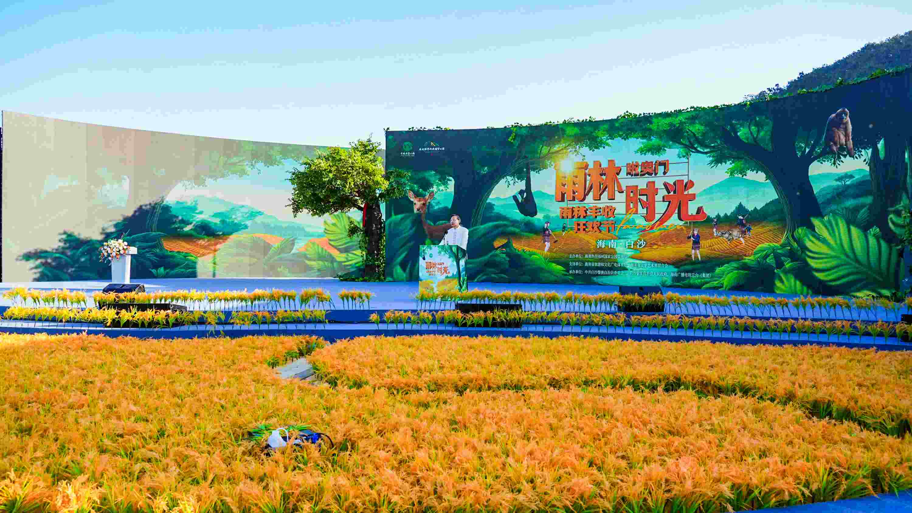 1732974489645252.jpg 丰收A(1)_极速看图.jpg
