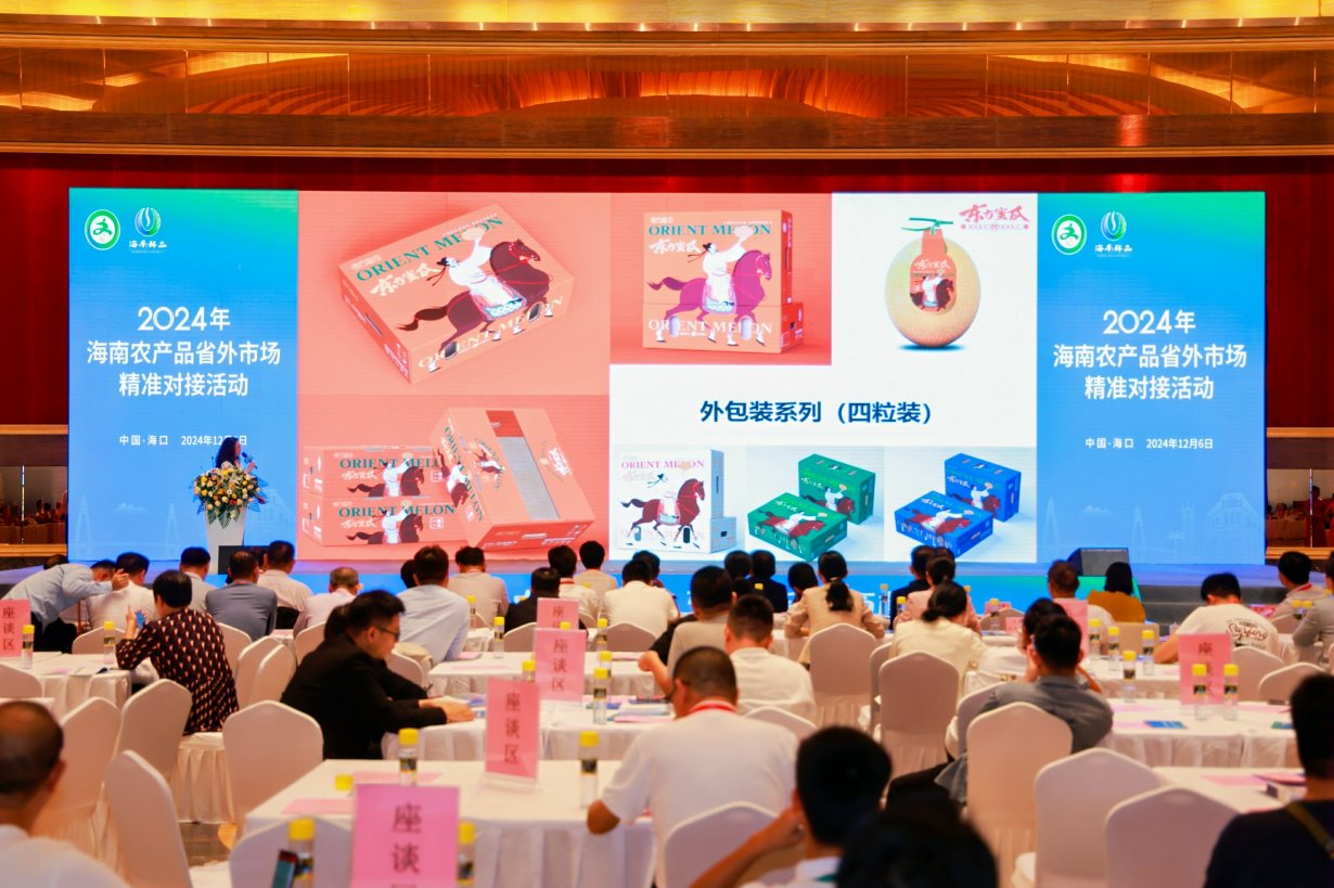 1733555415519520.jpg 3_极速看图.jpg