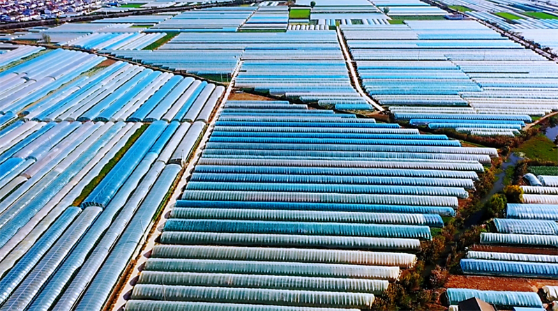 1733887553532085.jpg 新建 DOC 文档1836.jpg