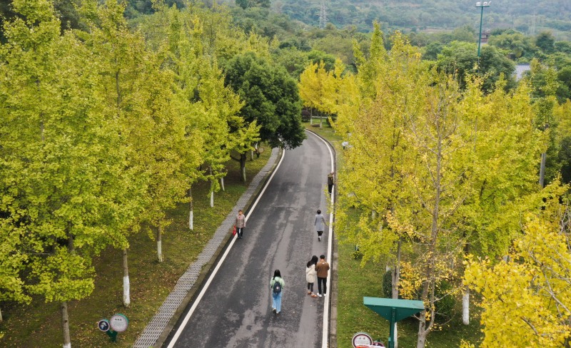 1734320305743694.jpg 南湖公园.jpg