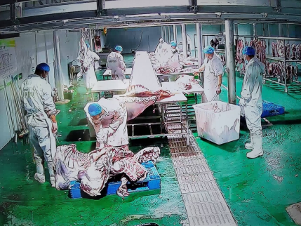 1734332577697830.png 图片 12.png