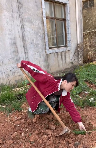 1734919960466526.png 图片 1.png