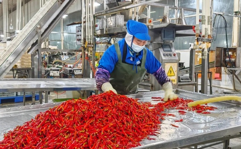 1739956329557953.jpg 简阳市巴蜀辣韵利丰食品有限公司工人忙生产.jpg