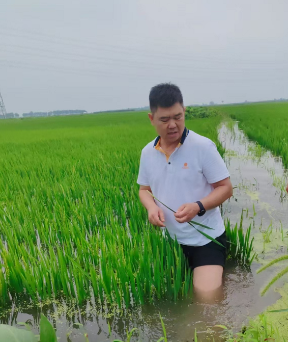 1741073278628710.png 图片 2.png