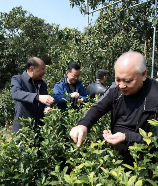 1741746753735726.png 图片 3.png