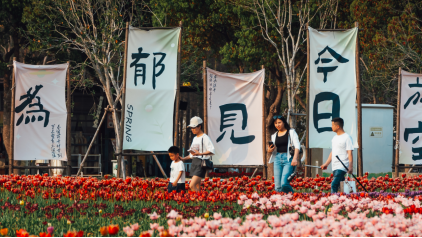 1743562496405822.png 化 “一季红” 为 “四季火”,昆山巴城全域旅游 “燃” 起来556.png