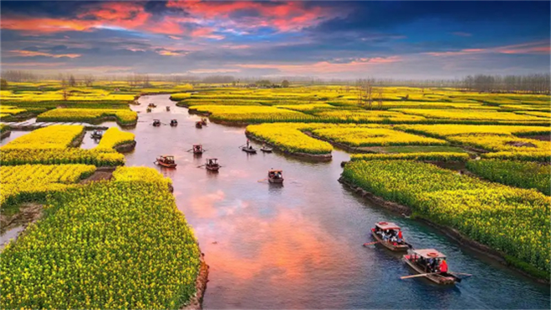 1743585276818733.jpg 泰州:赏花、露营、研学…… 市民走出家门,乐享春光397.jpg
