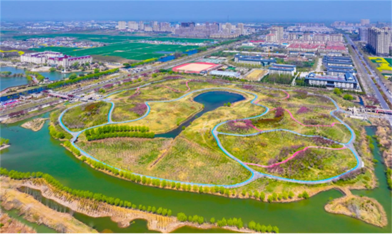 1744004491566149.jpg 2025年大运河自行车系列赛(灌南站)暨硕项湖山地自行车公开赛圆满结束795.jpg