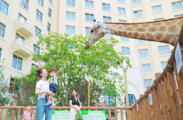 1744013355451666.png 图片 8.png