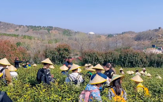 1744355658997470.png 图片 3.png