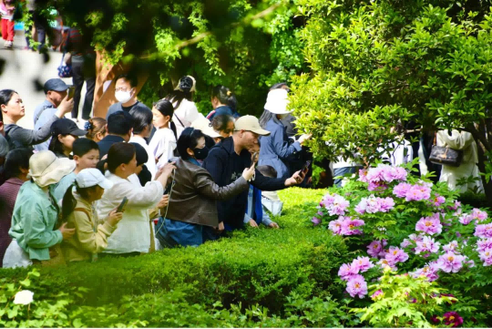 1744355645648151.png 图片 1.png