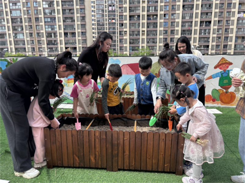 1744945015383718.jpg 读书种菜两不误,苏州甪直陶浜社区把谷雨玩出新花样552.jpg