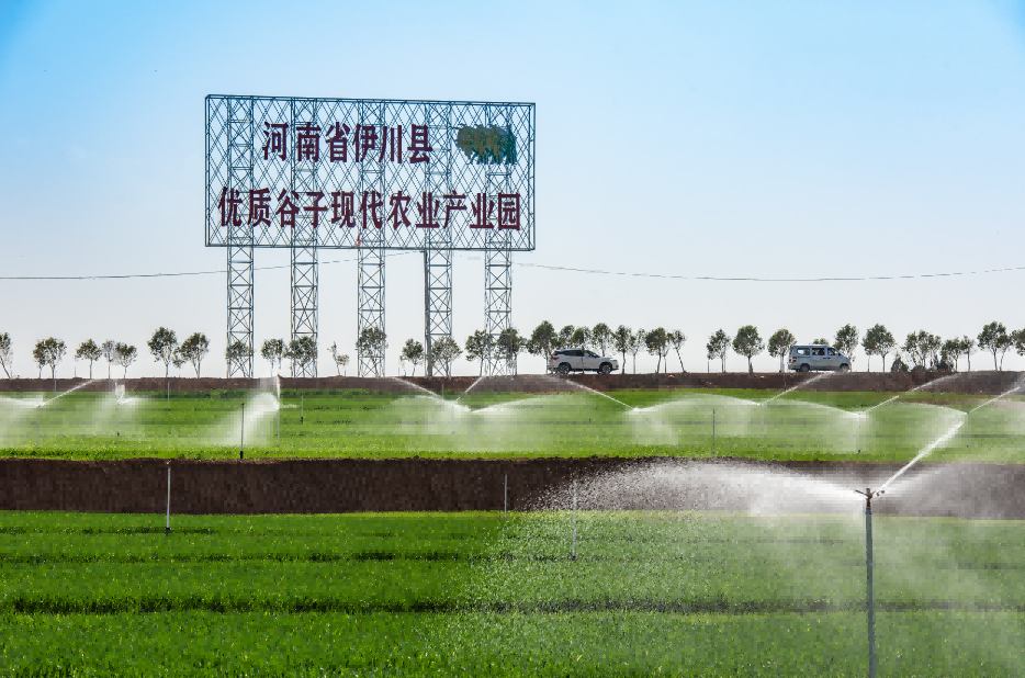 1744942451123812.png 图片 2.png