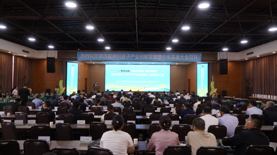1744942435218567.png 图片 1.png