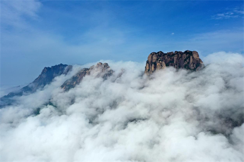 1745200156584100.png 图片3.png